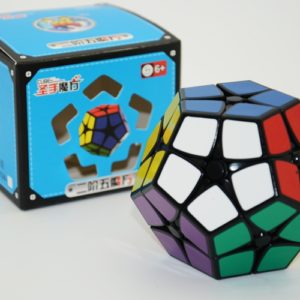 Shengshou 2 x 2 Megaminx (PVC Sticker Black Base)